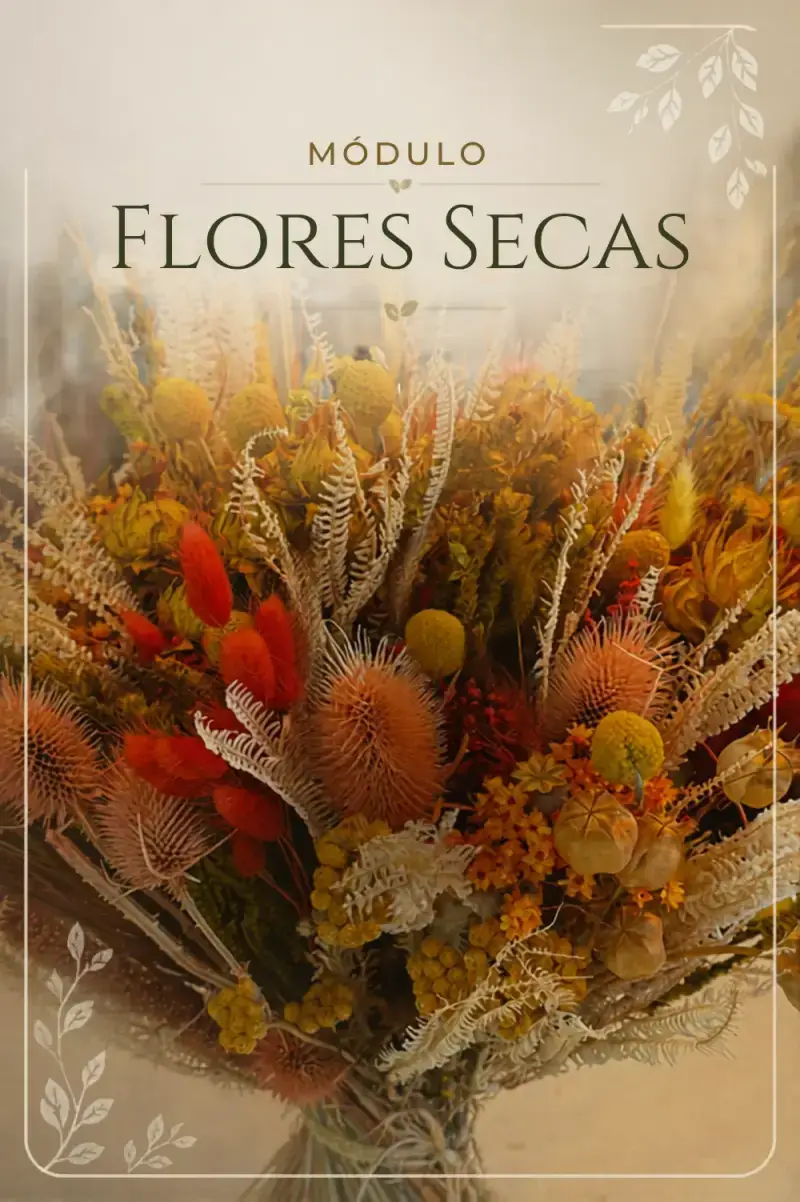 Categorias florais